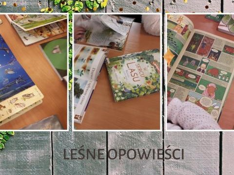 Listopadowe DKK w Bibliotece w Kamieńcu