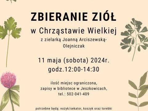 Zbieranie ziół w Chrząstawie Wielkiej z zielarką Joanną Arciszewską-Olejniczak