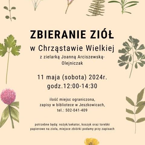 Zbieranie ziół w Chrząstawie Wielkiej z zielarką Joanną Arciszewską-Olejniczak