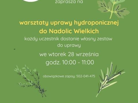 Warsztaty uprawy hydroponicznej w Nadolicach Wielkich